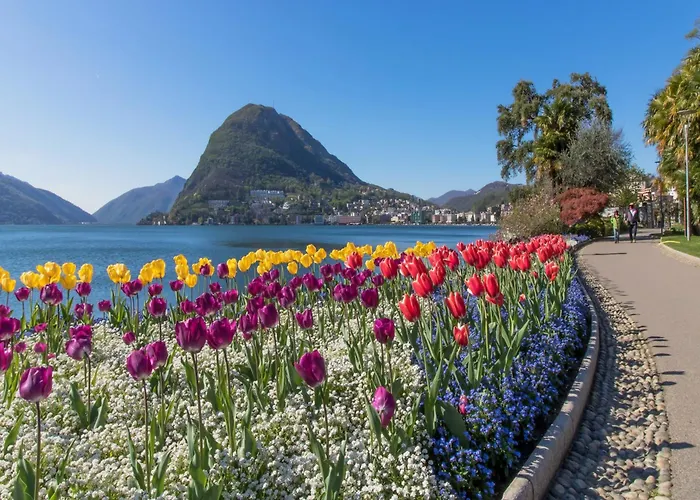 Appartement Novos Contrada Lugano